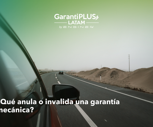 Formato horizontal artículos - 2026-03-03T121009.537